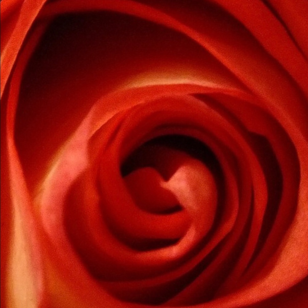 Meet your Posher, Gina